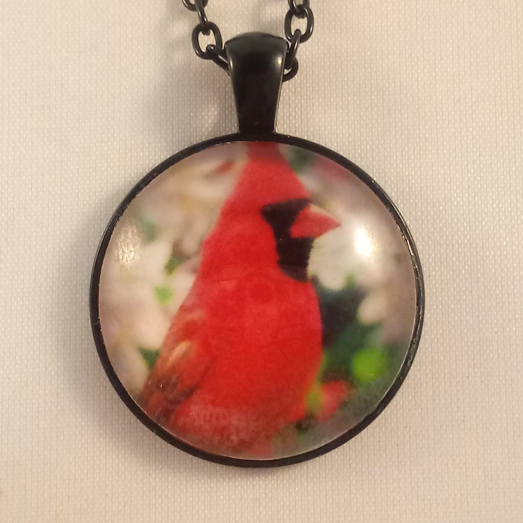 Cardinal Bird Cabochon Pendant Black Chain Necklac 20$